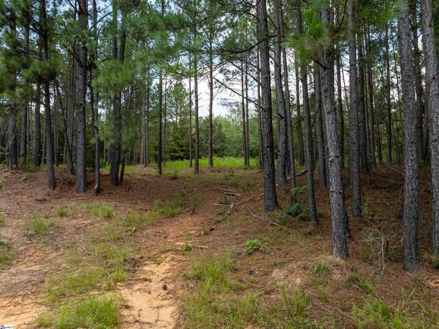 Photo of 02 Neal Shoals Road