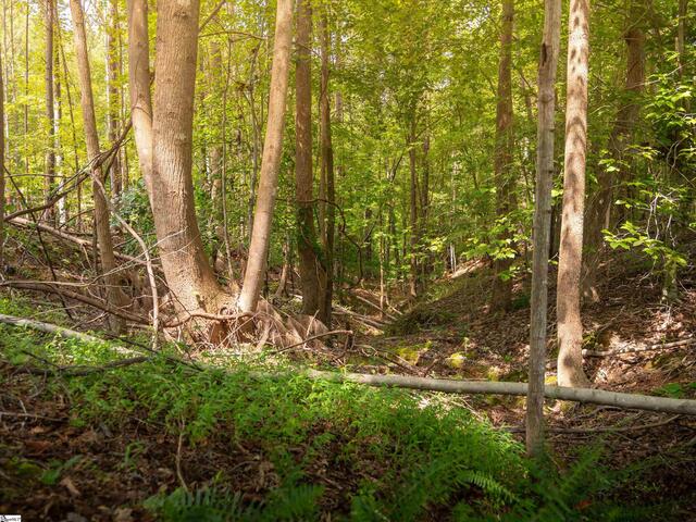 Photo of 02 Neal Shoals Road