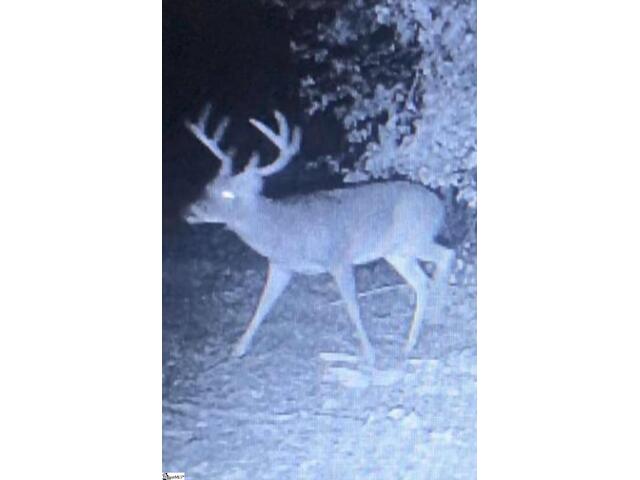 Photo of 210 Graystone Road