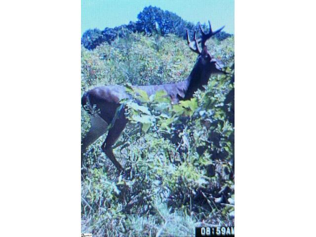 Photo of 210 Graystone Road