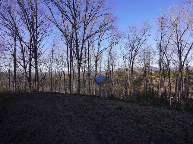 Photo of 450 S Packs Mountain Road