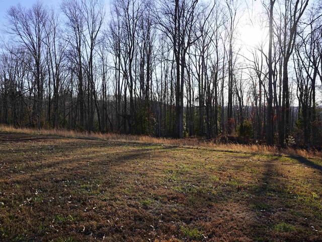 Photo of 450 S Packs Mountain Road