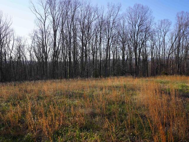 Photo of 450 S Packs Mountain Road