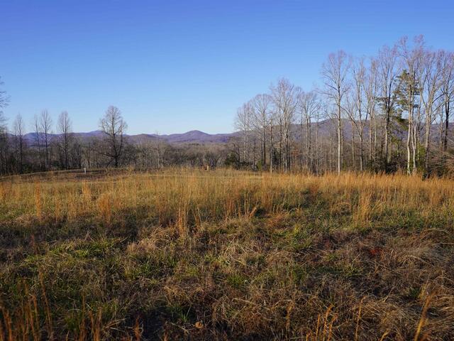 Photo of 450 S Packs Mountain Road