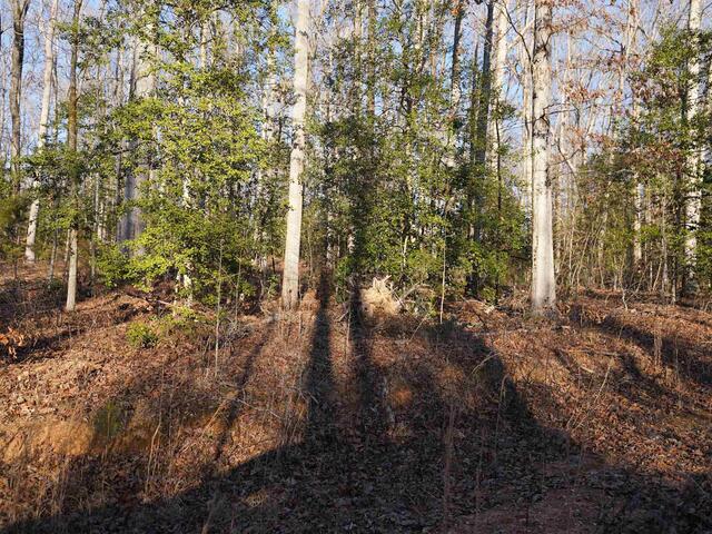 Photo of 450 S Packs Mountain Road