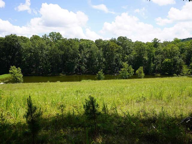 Photo of 450 S Packs Mountain Road