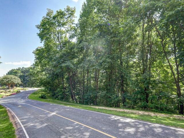 Photo of 00 moss pink Way