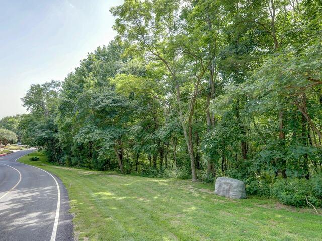 Photo of 00 moss pink Way