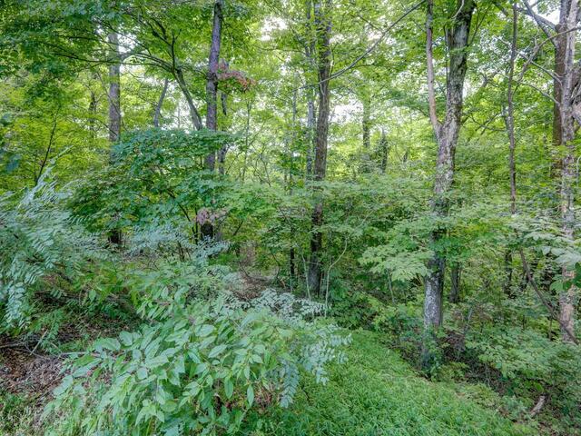 Photo of 00 moss pink Way