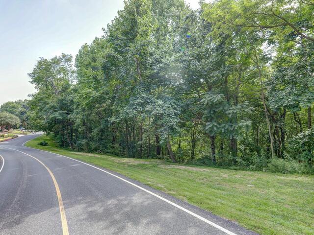 Photo of 00 moss pink Way