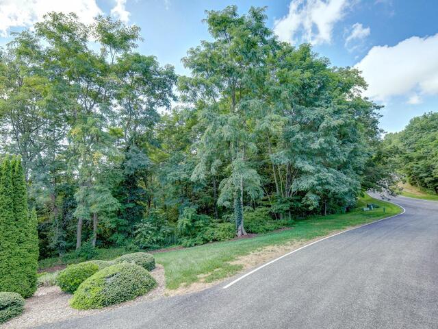 Photo of 00 moss pink Way