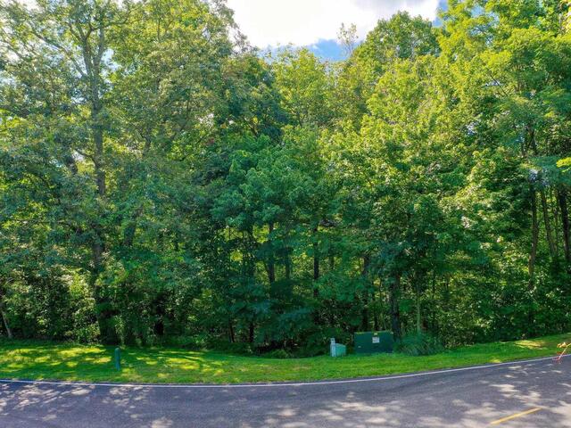 Photo of 00 moss pink Way