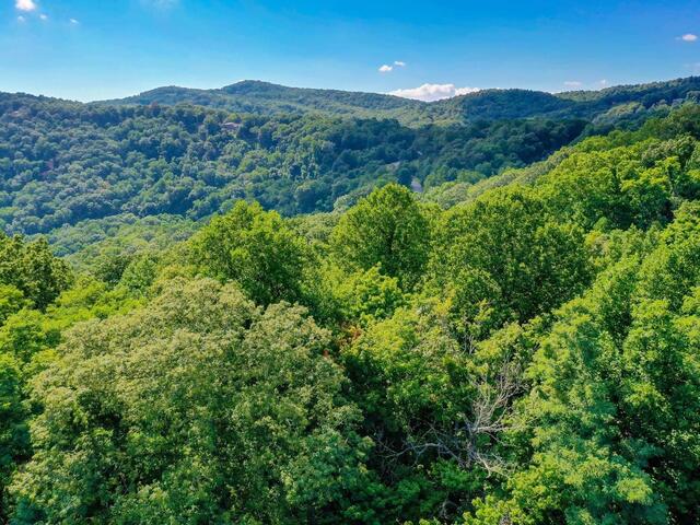 Photo of 00 moss pink Way