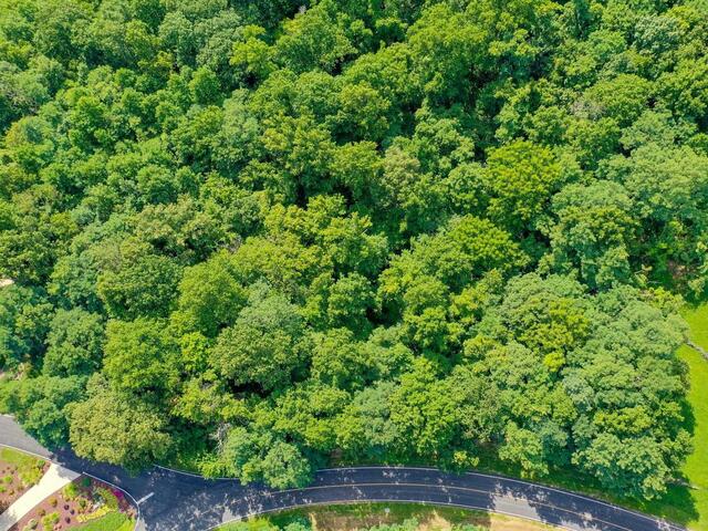 Photo of 00 moss pink Way