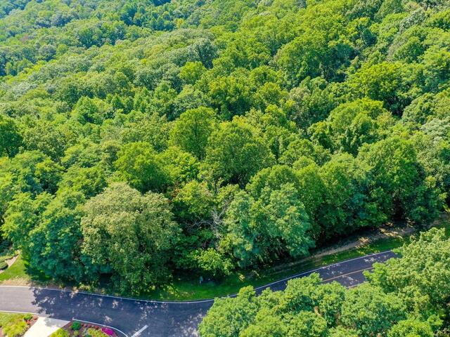 Photo of 00 moss pink Way