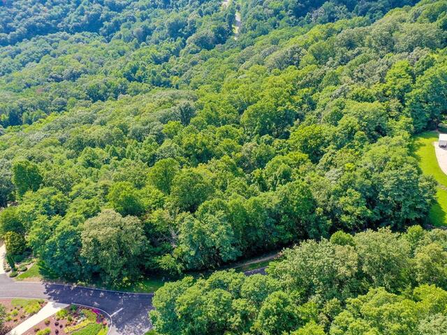 Photo of 00 moss pink Way