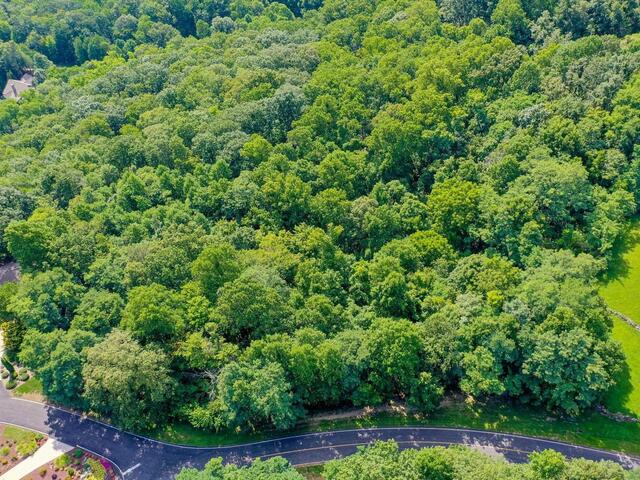 Photo of 00 moss pink Way