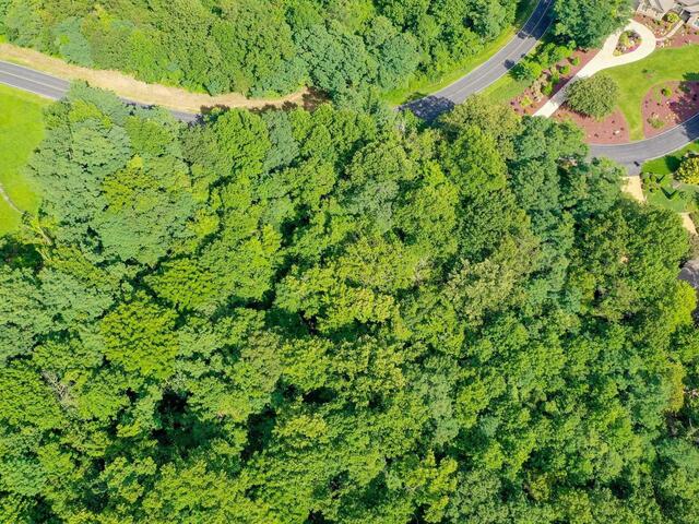 Photo of 00 moss pink Way