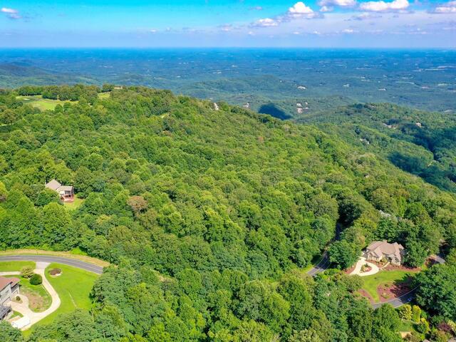 Photo of 00 moss pink Way