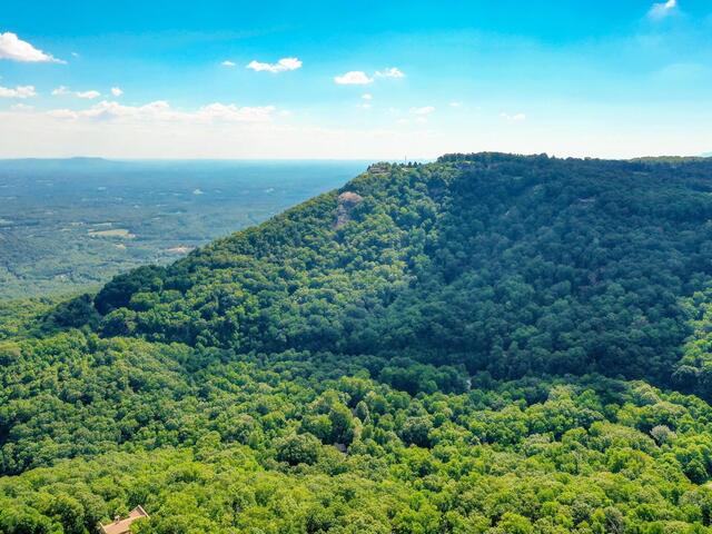 Photo of 00 moss pink Way