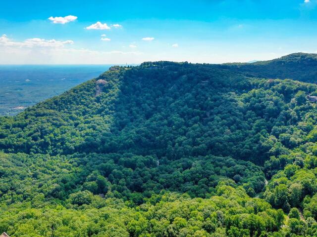 Photo of 00 moss pink Way