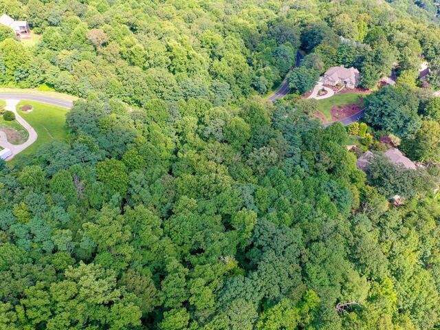 Photo of 00 moss pink Way