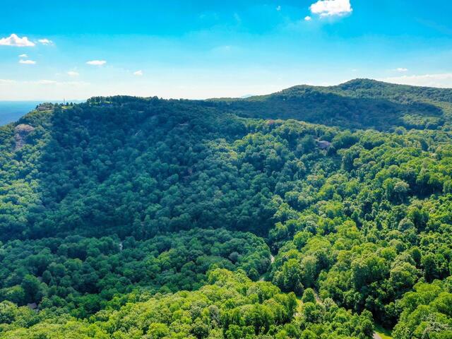 Photo of 00 moss pink Way