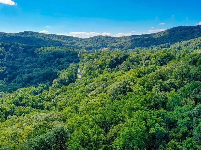 Photo of 00 moss pink Way