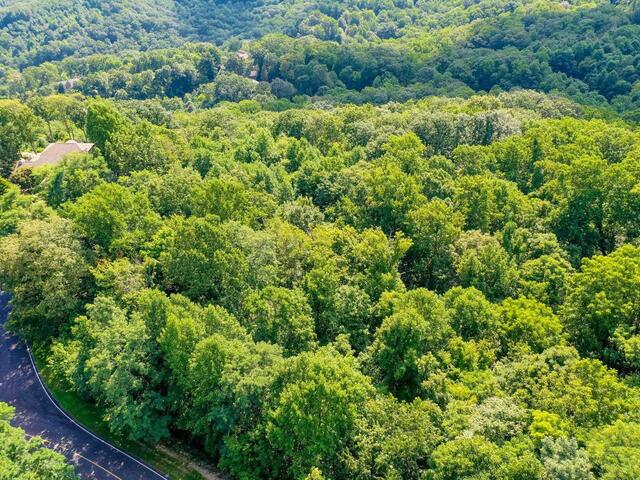 Photo of 00 moss pink Way