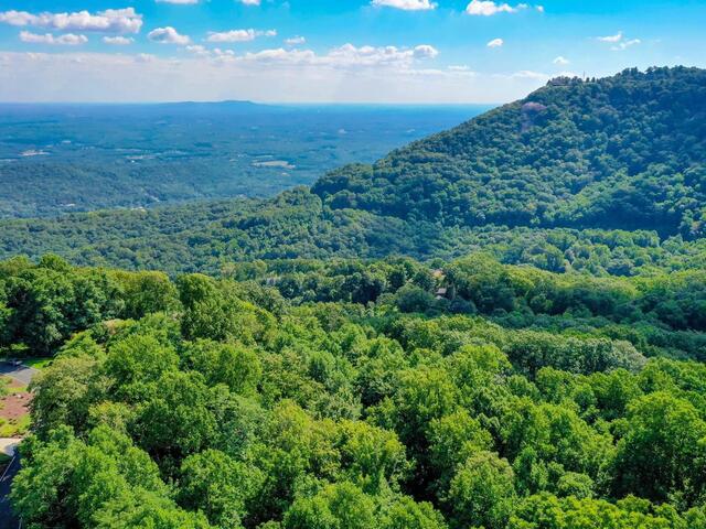 Photo of 00 moss pink Way