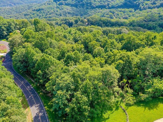 Photo of 00 moss pink Way