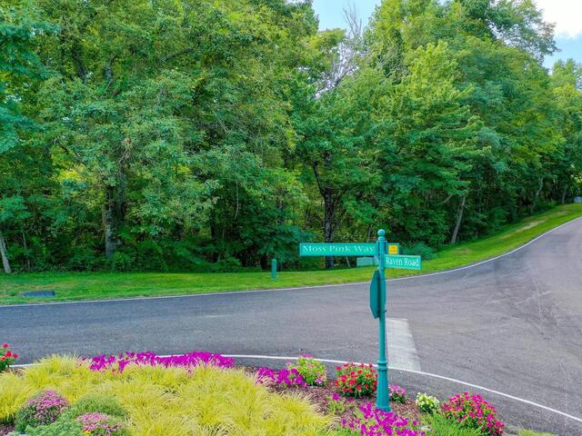 Photo of 00 moss pink Way