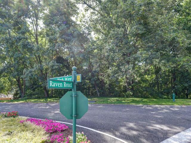 Photo of 00 moss pink Way