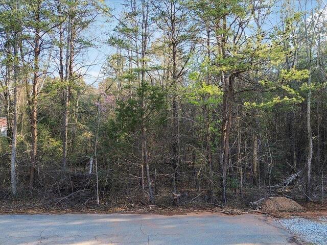 Photo of Manchester Avenue