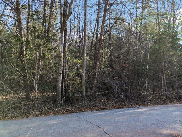 Photo of Manchester Avenue