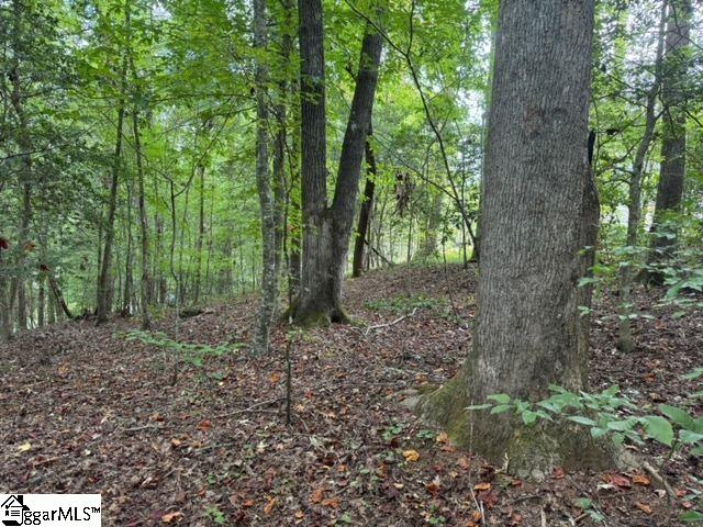 Photo of Autumn Leaves Way