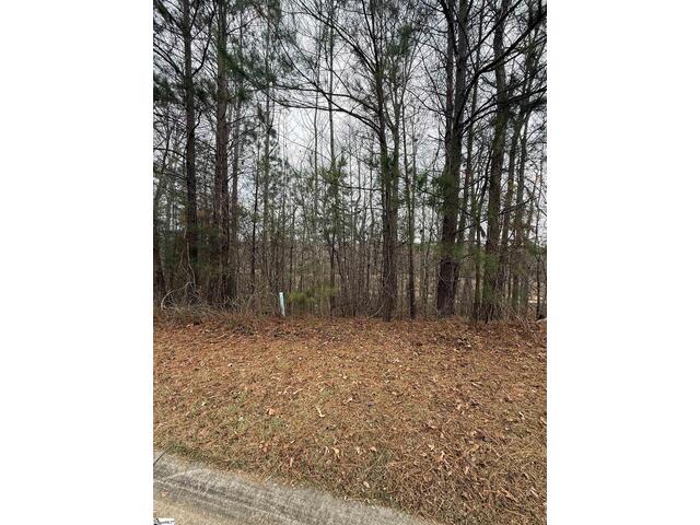 Photo of 208 wedge Way