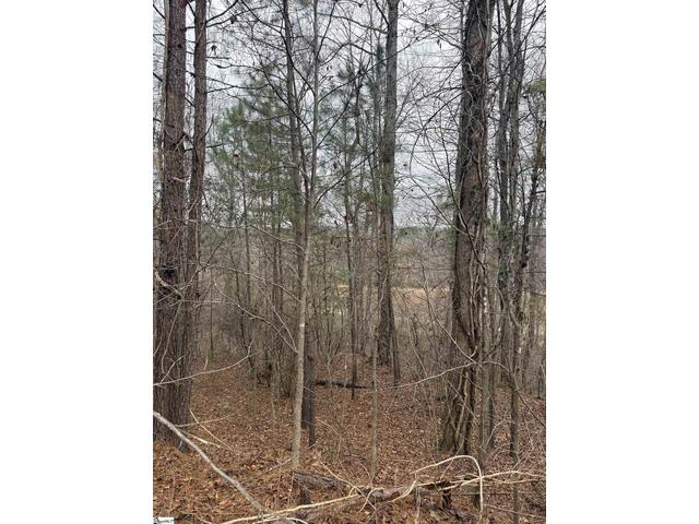 Photo of 208 wedge Way