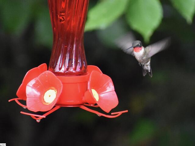 Photo of 217 Meritta Trail