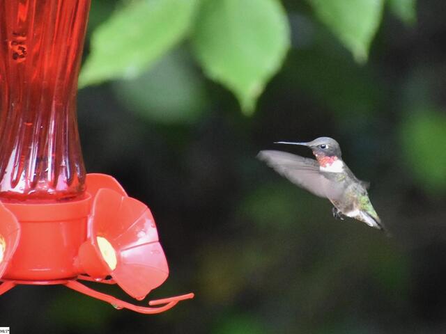 Photo of 217 Meritta Trail