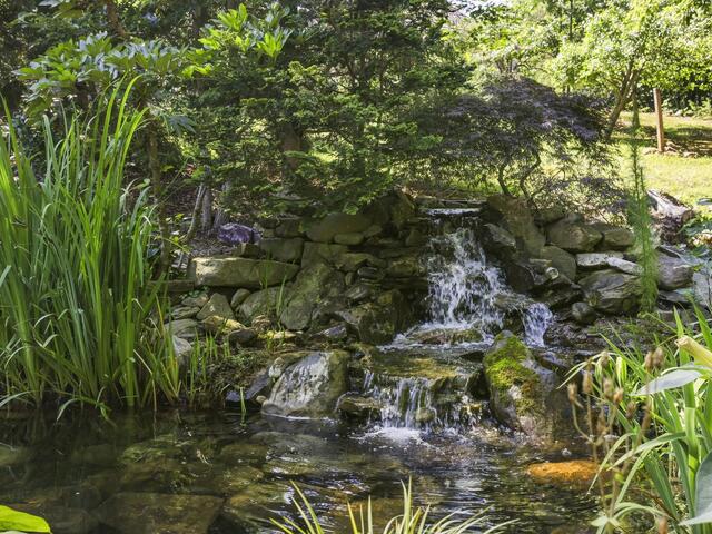 Photo of 137 Laurel Falls Way