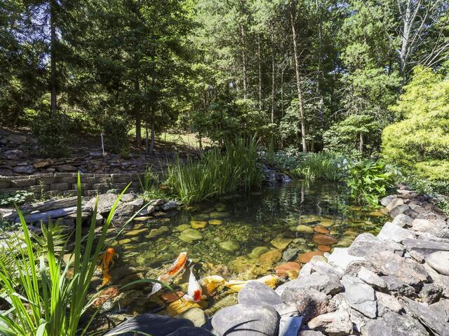 Photo of 137 Laurel Falls Way