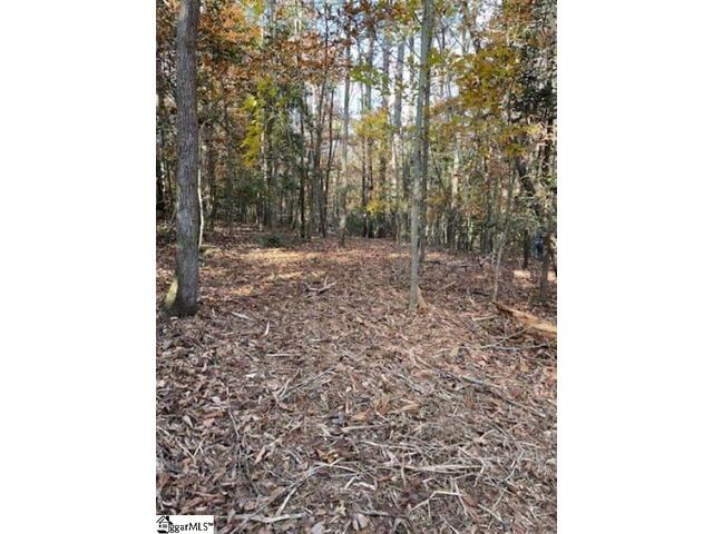 Photo of 00 Catalan Court