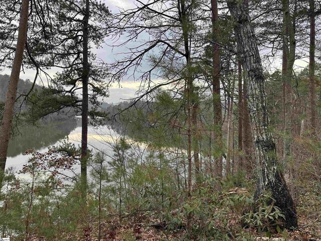 Photo of 00 Jackson Cove Road