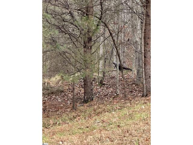 Photo of 00 Jackson Cove Road