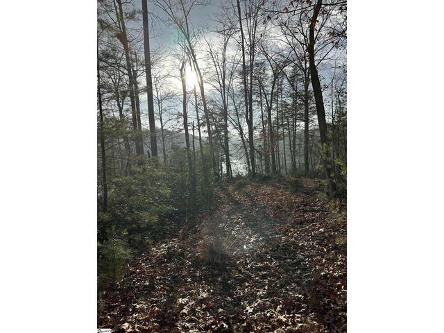 Photo of 00 Jackson Cove Road
