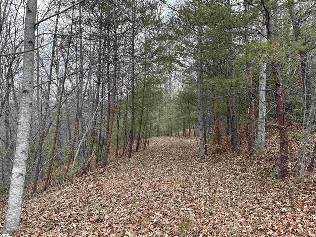 Photo of 00 Jackson Cove Road