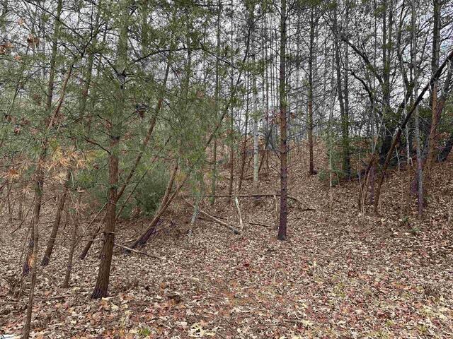 Photo of 00 Jackson Cove Road