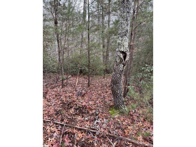 Photo of 00 Jackson Cove Road