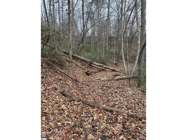 Photo of 00 Jackson Cove Road